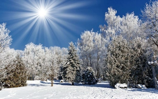 Восхитительные зимние пейзажи под голубыми небесами