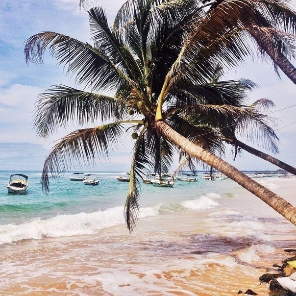 Живописные пляжи острова Шри-Ланка.