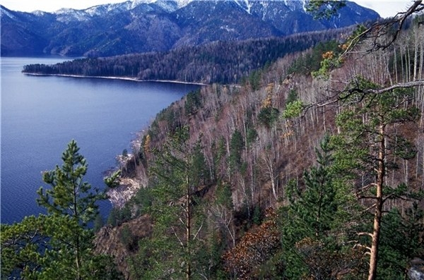 Саяно-Шушенский заповедник, Красноярский край.