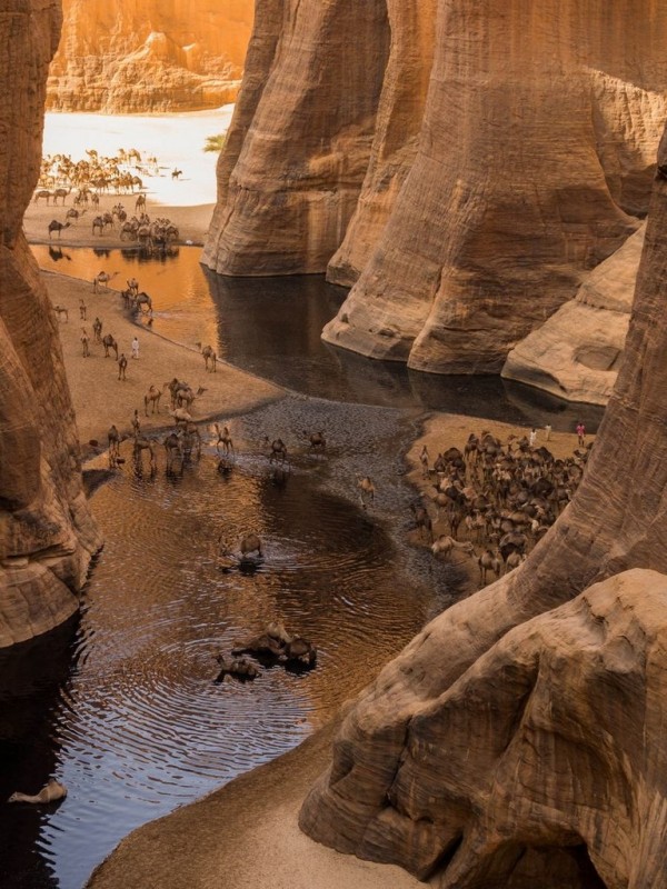 Гельта д’Аршей — удивительный водоем в пустыне Сахара