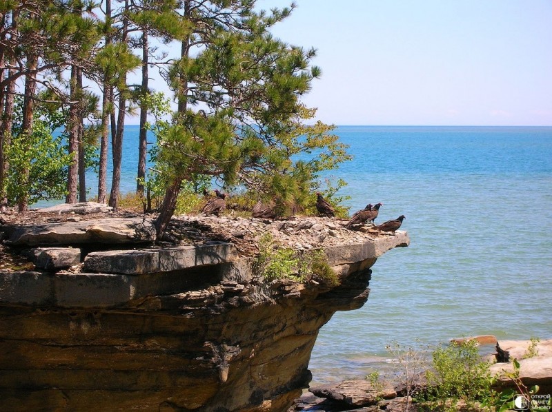 Остров Turnip Rock Остров Turnip Rock