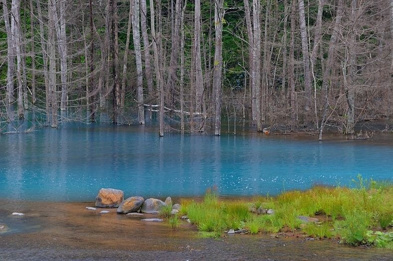 Голубой пруд (Blue Pond), Хоккайдо, Япония.