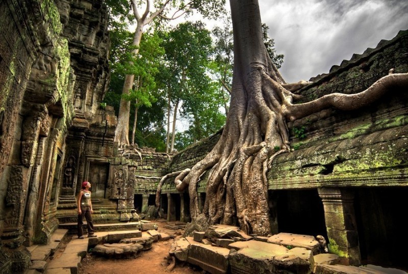 Гигантские деревья Баньян в храме Та Пром (12 в.), Камбоджа.