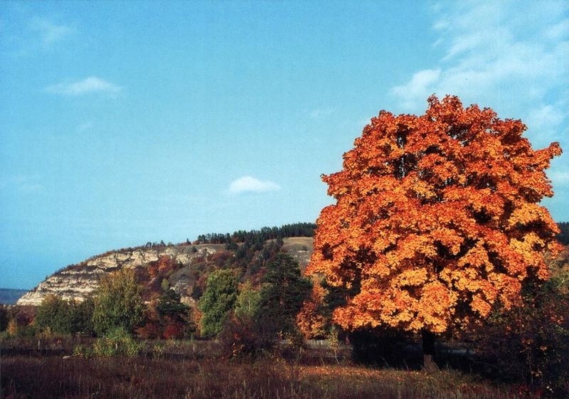 Самарская Лука.