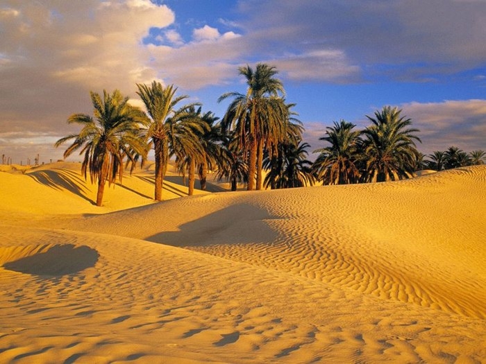 Великая страна жажды - Пустыня Сахара (Sahara Desert) Великая страна жажды - Пустыня Сахара (Sahara Desert)