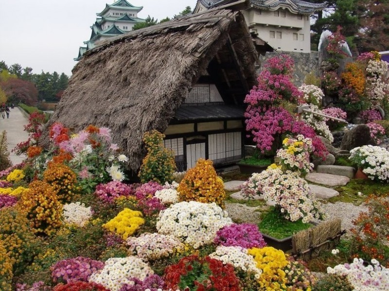 Сад у замка Нагоя, Япония