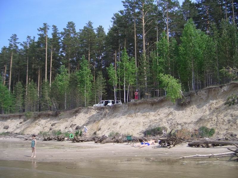Караканский бор,Новосибирская область,Россия Караканский бор,Новосибирская область,Россия