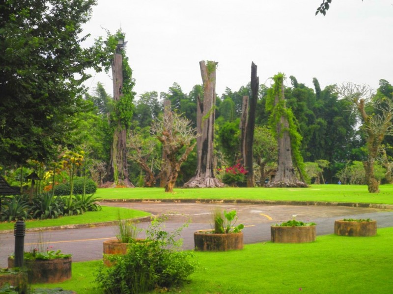 Национальный парк-сад цветов Mae Fah Luang Garden  в Таиланде