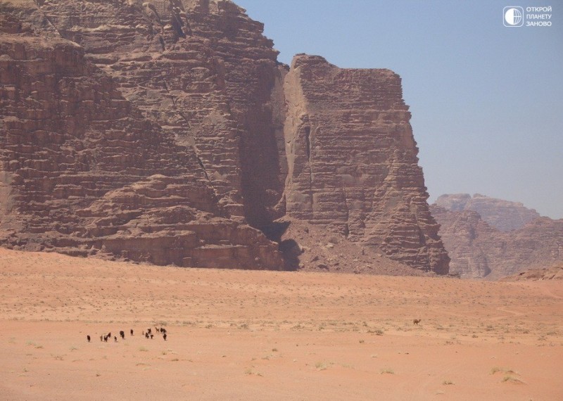 Красная пустыня Вади Рам 4