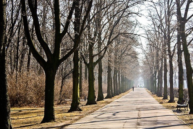 Парк Большой Тиргартен, Германия