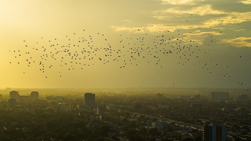 Потрясающее небо над Майами...