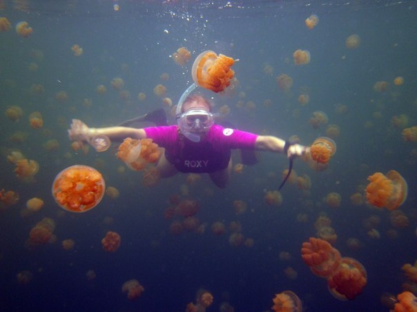 Озеро безобидных медуз