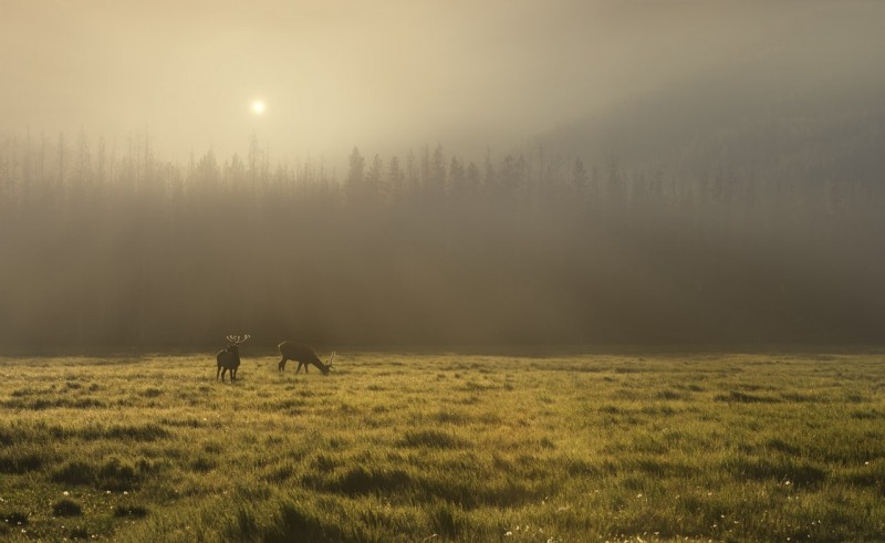 Национальный парк Rocky Mountain, Колорадо.