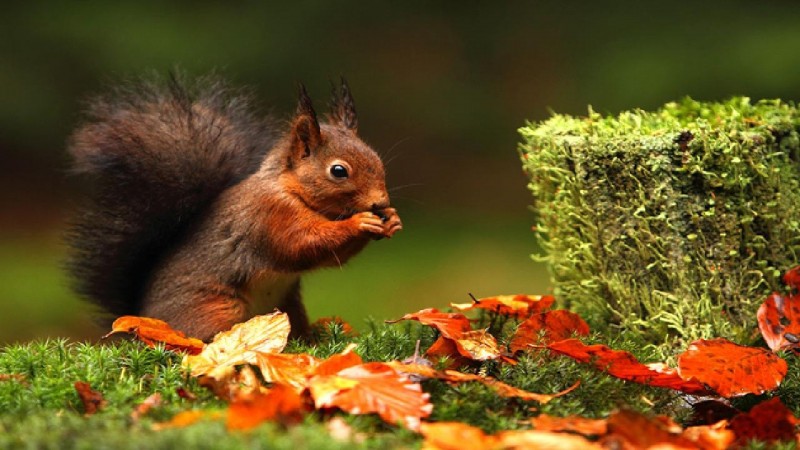 Позитив от фотографа Edwin Kats