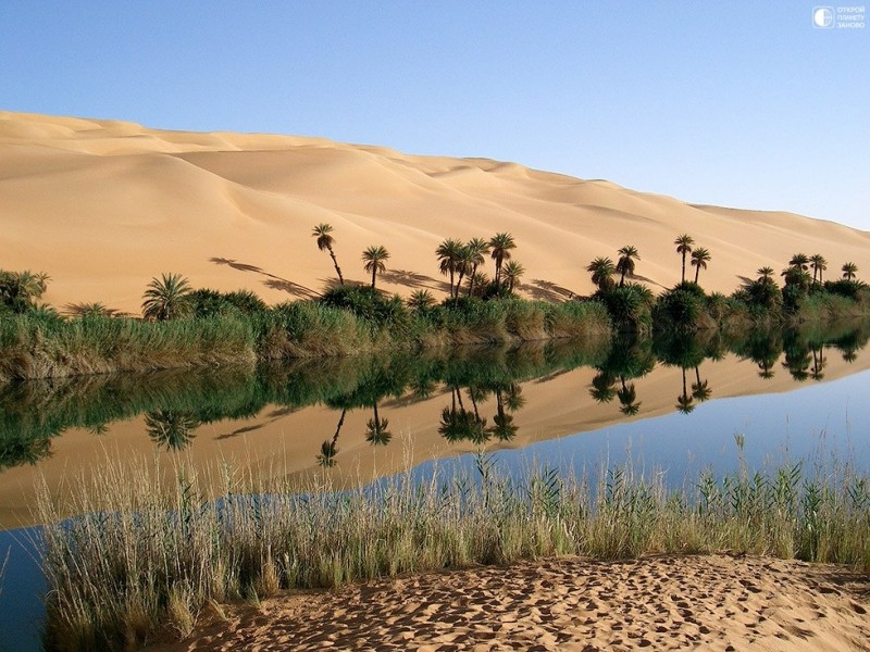 Озера Убари - сказочный оазис в африканской пустыне