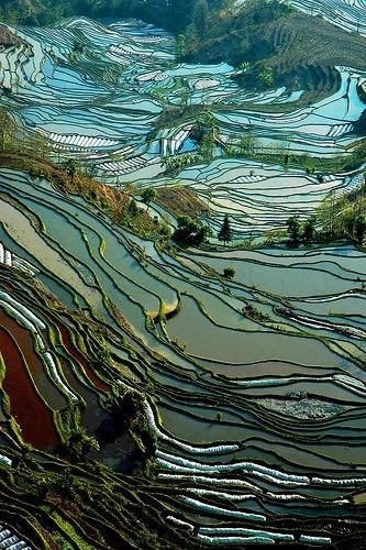 Нет, это не картины Ван Гога. Это Китай, провинция Юньнань.