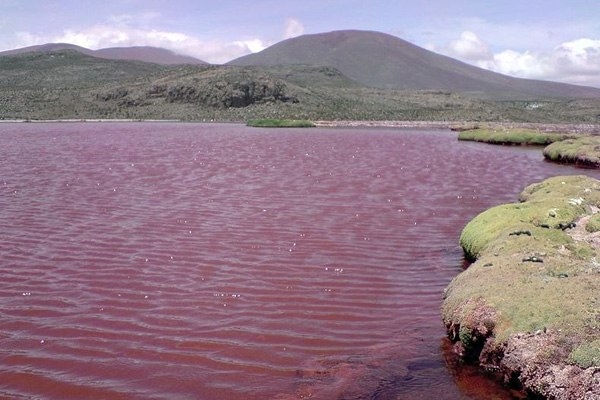 Красная Лагуна Красная Лагуна