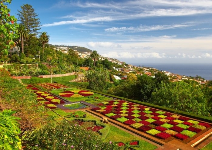 Главный город острова Мадейра — Фуншал. Фуншал — это рай для туристов с большими и прекрасными парка