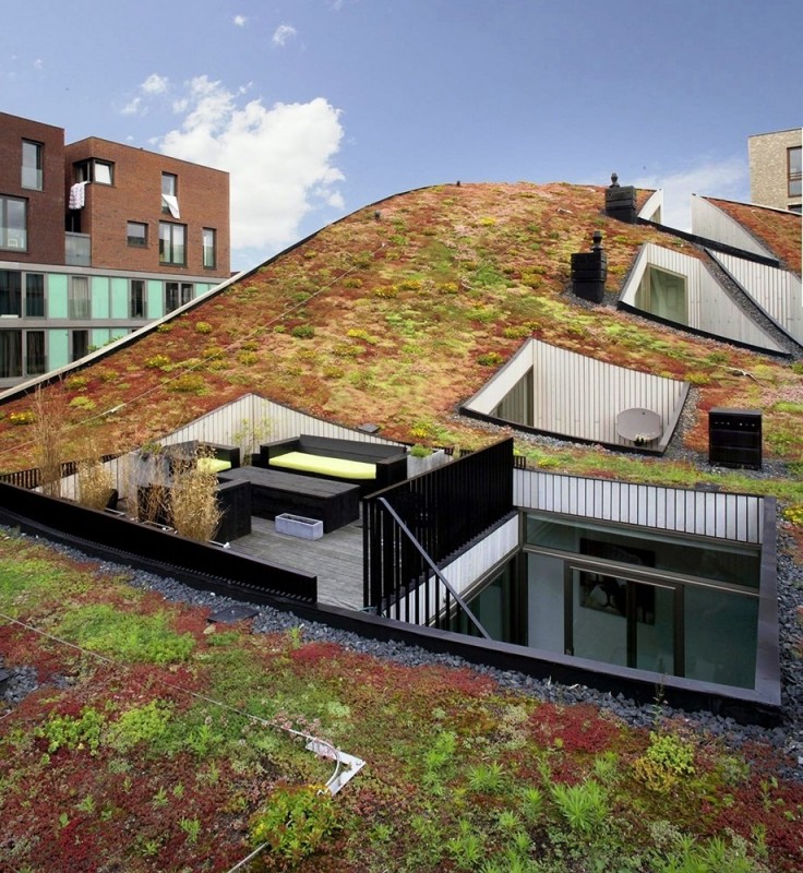 Креативные дома с «зелеными» крышами в Амстердаме (Нидерланды)