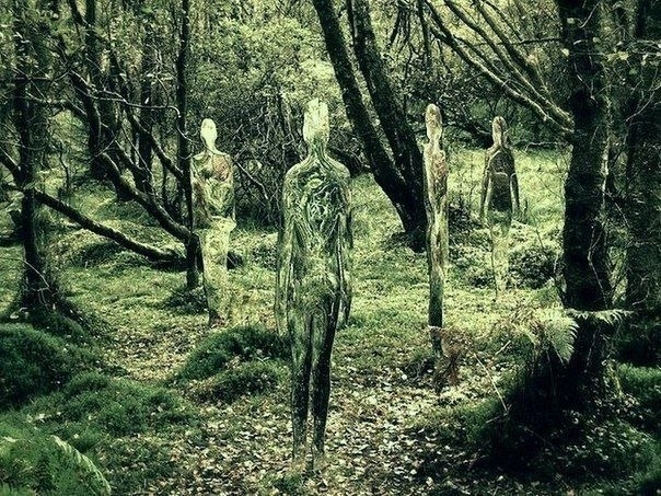 Стеклянные скульптуры-привидения в лесах Шотландии