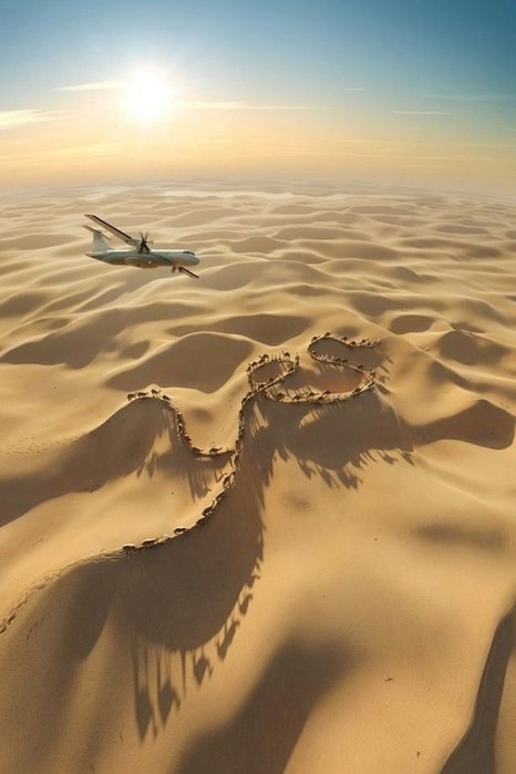 Великая страна жажды - Пустыня Сахара (Sahara Desert) Великая страна жажды - Пустыня Сахара (Sahara Desert)
