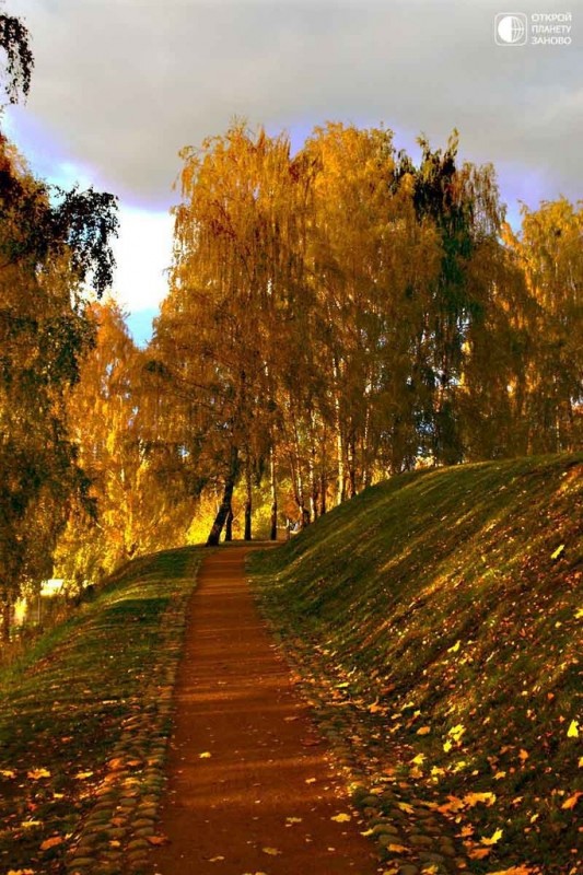 Царицыно 5 Царицыно 5
