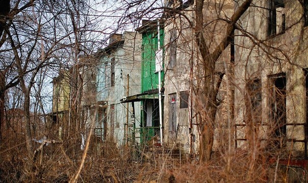 Мир без людей Мир без людей