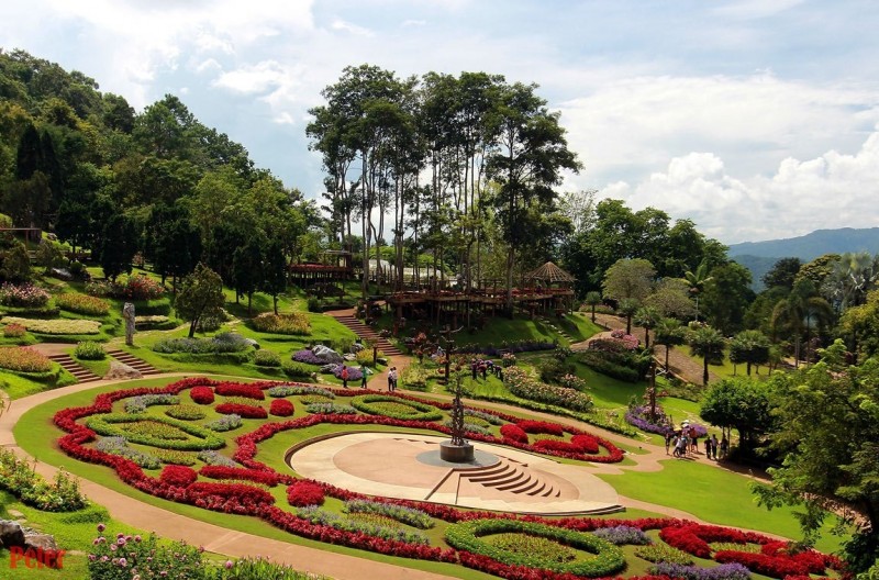 Национальный парк-сад цветов Mae Fah Luang Garden  в Таиланде