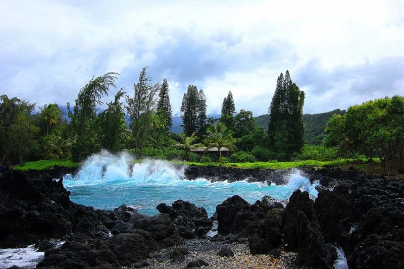 Сады острова Мауи 3