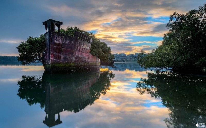 Заброшенное судно SS Ayrfield,Floating forest - плавающий лес Заброшенное судно SS Ayrfield,Floating forest - плавающий лес