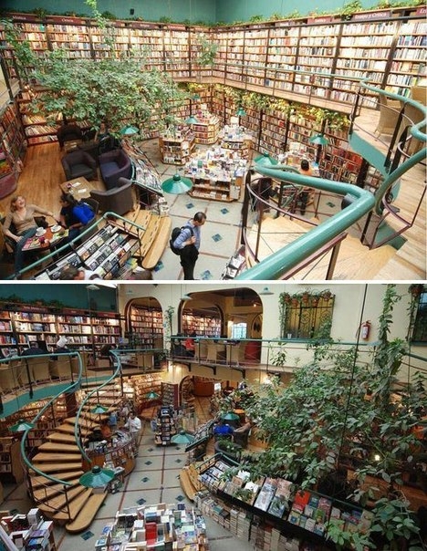 Идеальные книжные магазины