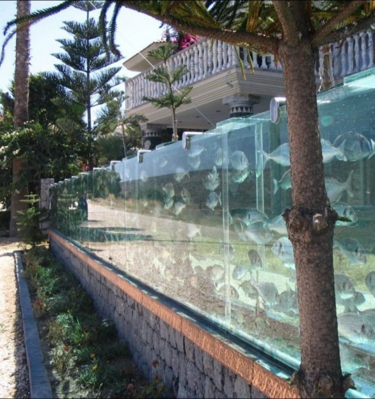 50-метровый аквариум вместо забора