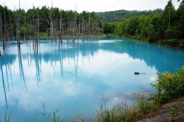 Голубой пруд Хоккайдо