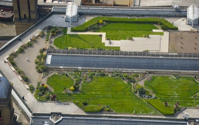 Сады на Лондонских крышах