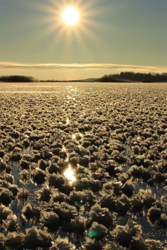 Ледяные цветы на замерзшем озере