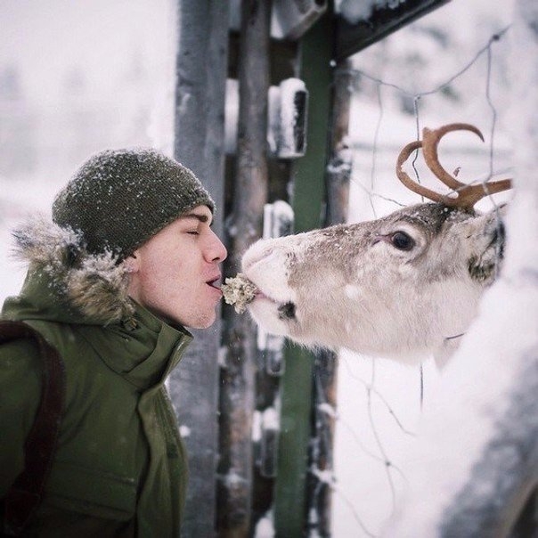 10 снимков фотографа, с которым дружат животные. 10 снимков фотографа, с которым дружат животные.