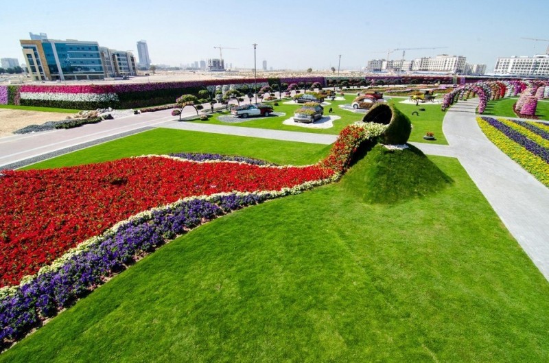 Dubai Miracle Garden: чудо-сад на песках (АОЭ)