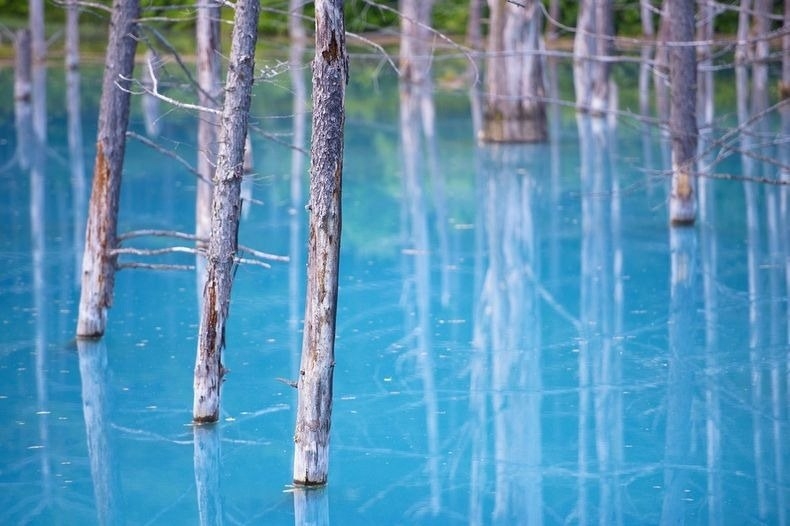 Голубой пруд (Blue Pond), Хоккайдо, Япония.