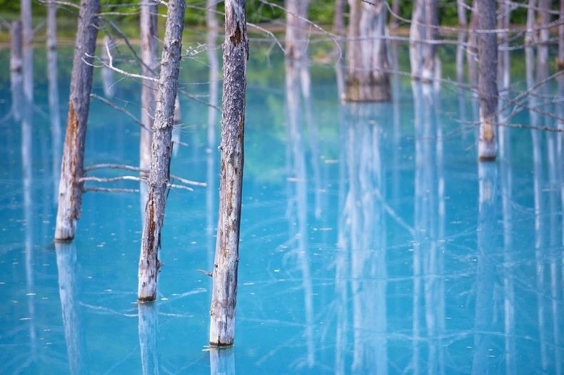 Голубой пруд (Blue Pond), Хоккайдо, Япония. Голубой пруд (Blue Pond), Хоккайдо, Япония.