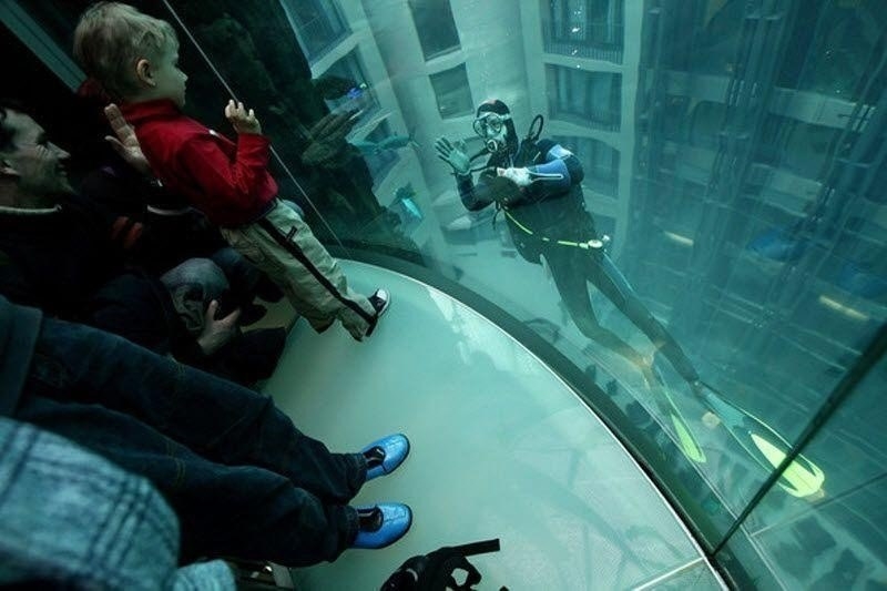 AquaDom AquaDom