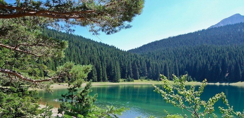 Черное озеро: захватывающие дух пейзажи (Черногория)