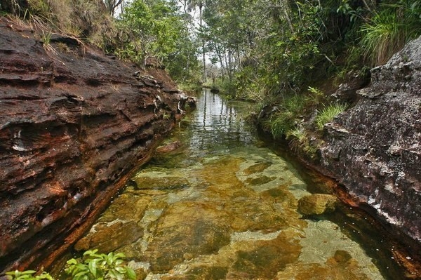 Радужная река в Колумбии