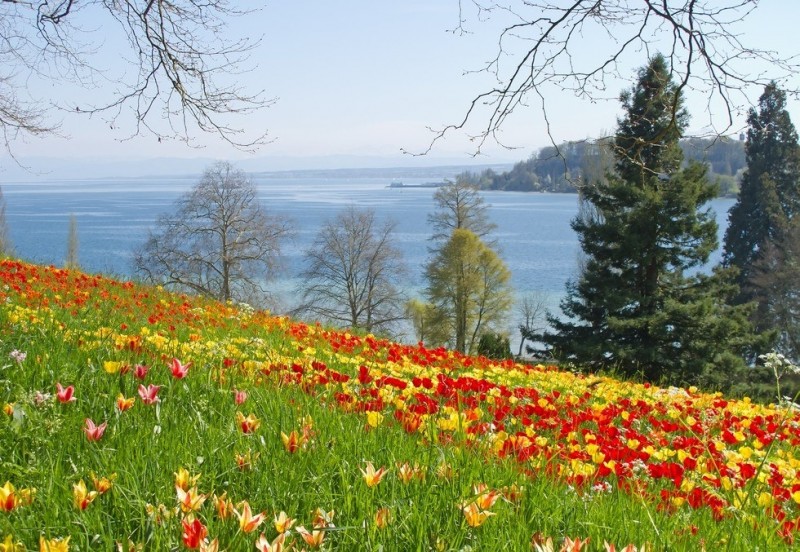 Боденское озеро: чудесное место для отдыха и туризма