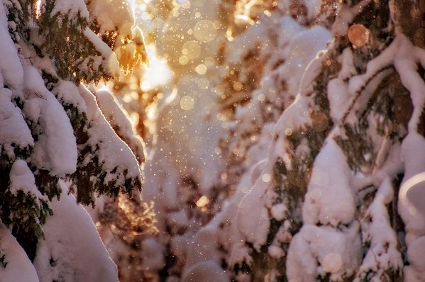 Красивые зимние пейзажи Mikko Lagerstedt