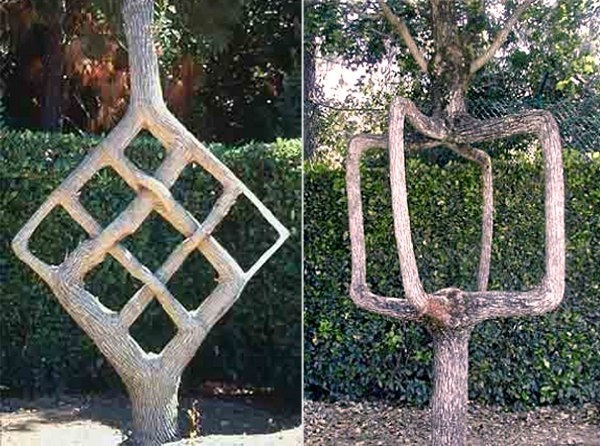 Скульптуры из деревьев Алекса Эрландсона