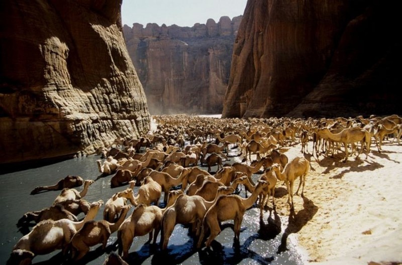Гельта д’Аршей — удивительный водоем в пустыне Сахара