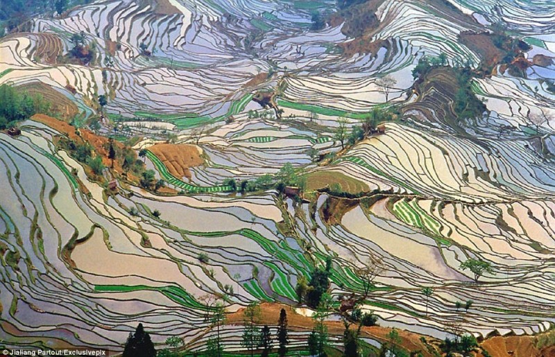 Рисовые террасы Honghe Hani стали Всемирным наследием Рисовые террасы Honghe Hani стали Всемирным наследием