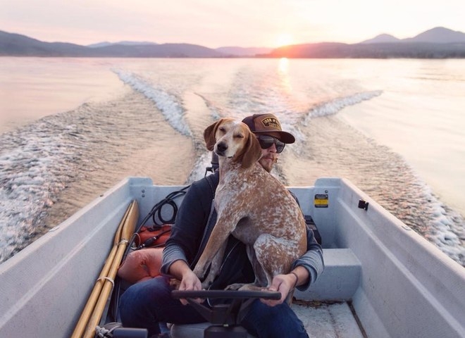 Невероятные приключения собаки-путешественницы Мэдди по Америке