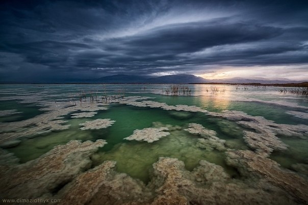 Мертвое море, один из самых удивительных водоемов планеты — курорт, лечебница и аттракцион «в одном Мертвое море, один из самых удивительных водоемов планеты — курорт, лечебница и аттракцион «в одном