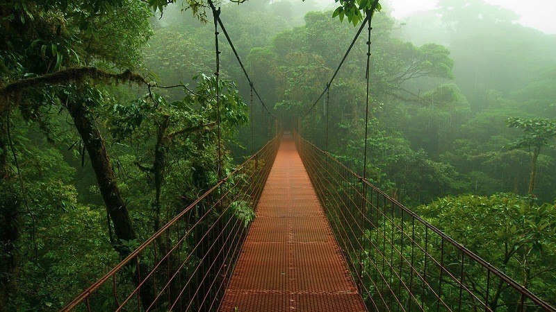Мост в лесах Амазонки, Бразилия